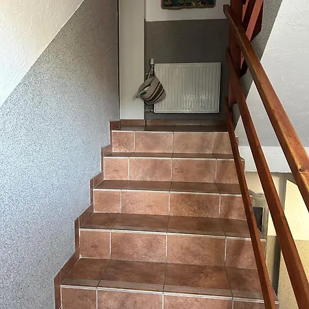 Goscinne Проживание в семье