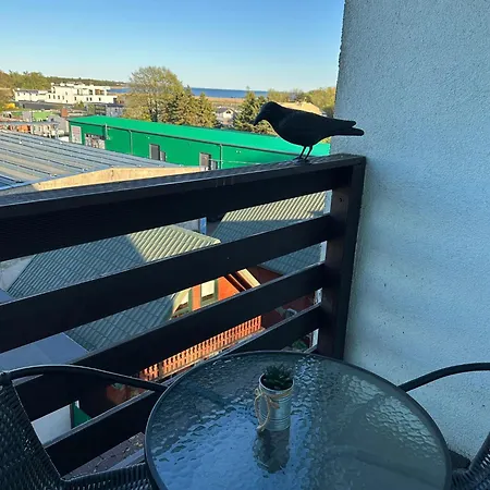 Goscinne Kwatera prywatna