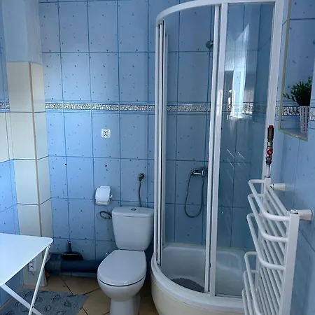 Проживание в семье Goscinne *