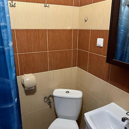 Проживание в семье Goscinne